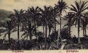 View of Bordighera:the Palms Postcard renoir